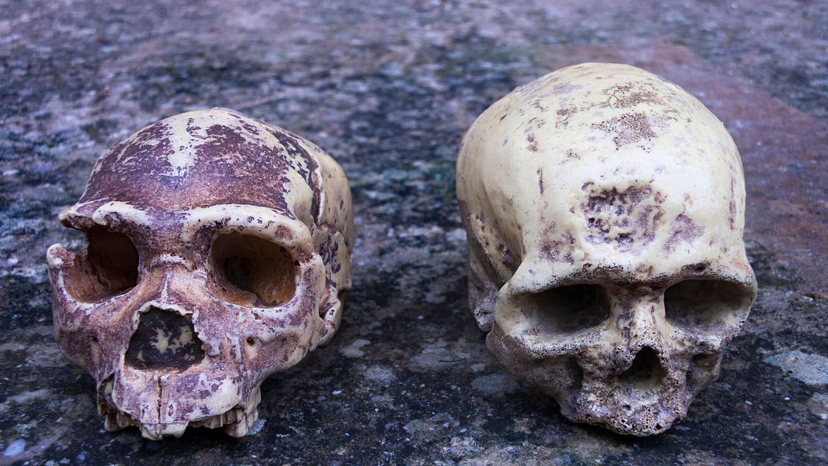 Wada rozwojowa mózgu może być spowodowana genami 