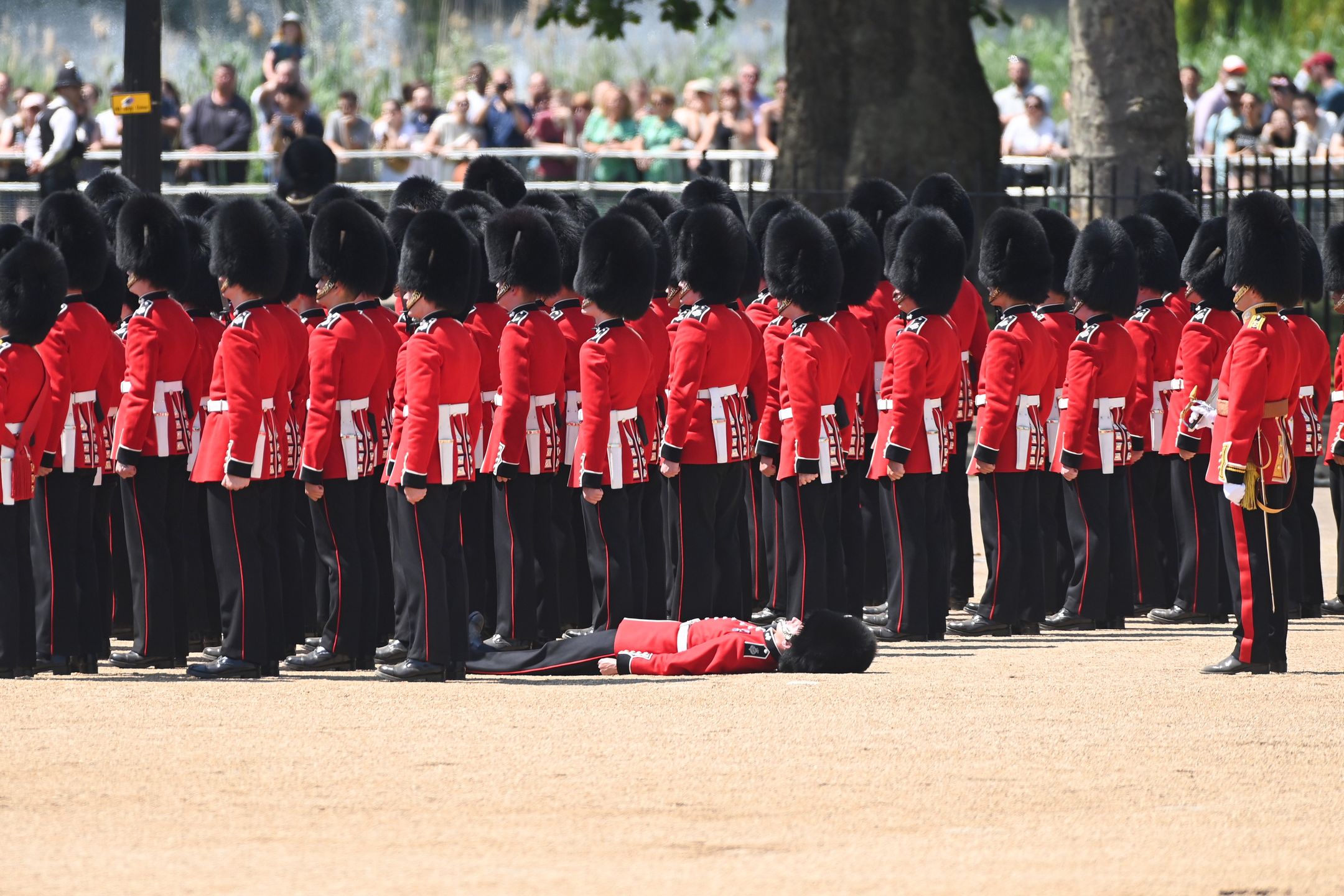 Książę William dziękuje żołnierzom po próbie do Trooping the Colour