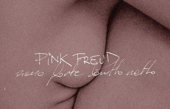 Na rynek wchodzi płyta "Piano forte brutto netto". "W DNA Pink Freud jest eksperymentowanie"