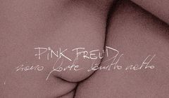 Na rynek wchodzi płyta "Piano forte brutto netto". "W DNA Pink Freud jest eksperymentowanie"