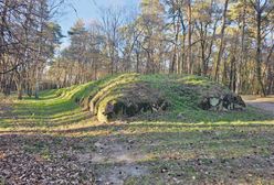 Kujawski "piramidy". Tajemnicze budowle są starsze od tych w Gizie