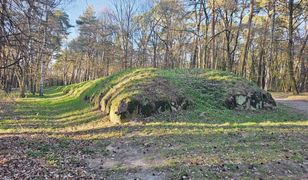 Kujawski "piramidy". Tajemnicze budowle są starsze od tych w Gizie