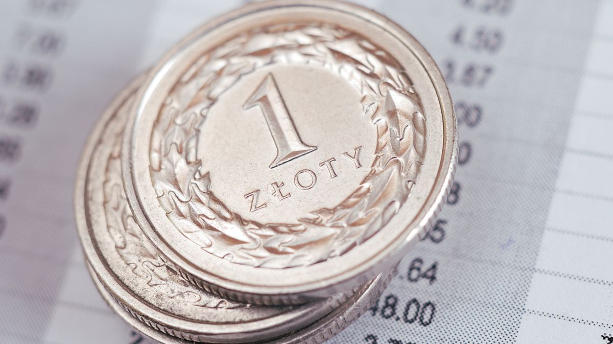 pln, polski, bank, bilon, moneta, numizmatyka, biznes, dochód, finanse, formularz, grosz, inwestycja, kasa, kolor, fiskalny, podatki, monety, narodowy, podatek, ryzyko, polska, polskie, powodzenie, przychód, rachunek, roczny, vat, waluta, wymiana, wynagrodzenie, wzór, zakupy, portfel, lokata, kurs walut, kantor, rynek walutowy