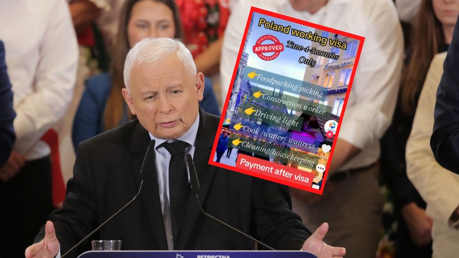 Wiele reklam pośredników w zdobywaniu wiz na TikToku