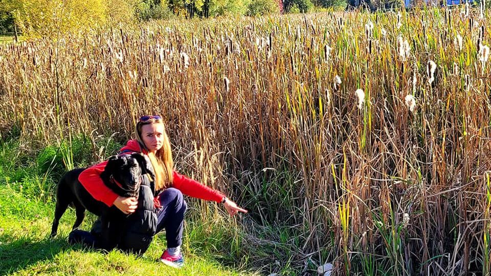 Internautka znalazła w stawie martwe łabędzie i pokazała je w sieci. 