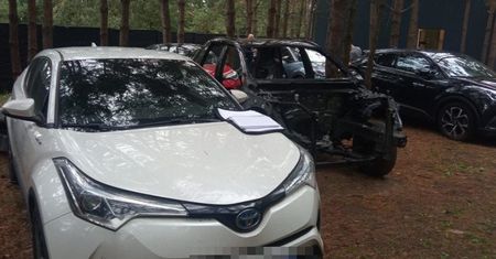 Policjanci z grupy Kobra zlikwidowali "dziuplę". Auta stały jak na parkingu dealera