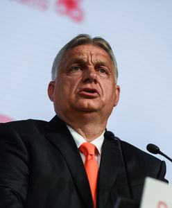 Odważna teza Komorowskiego ws. Węgier. Chcą zabrać Ukrainie Zakarpacie?