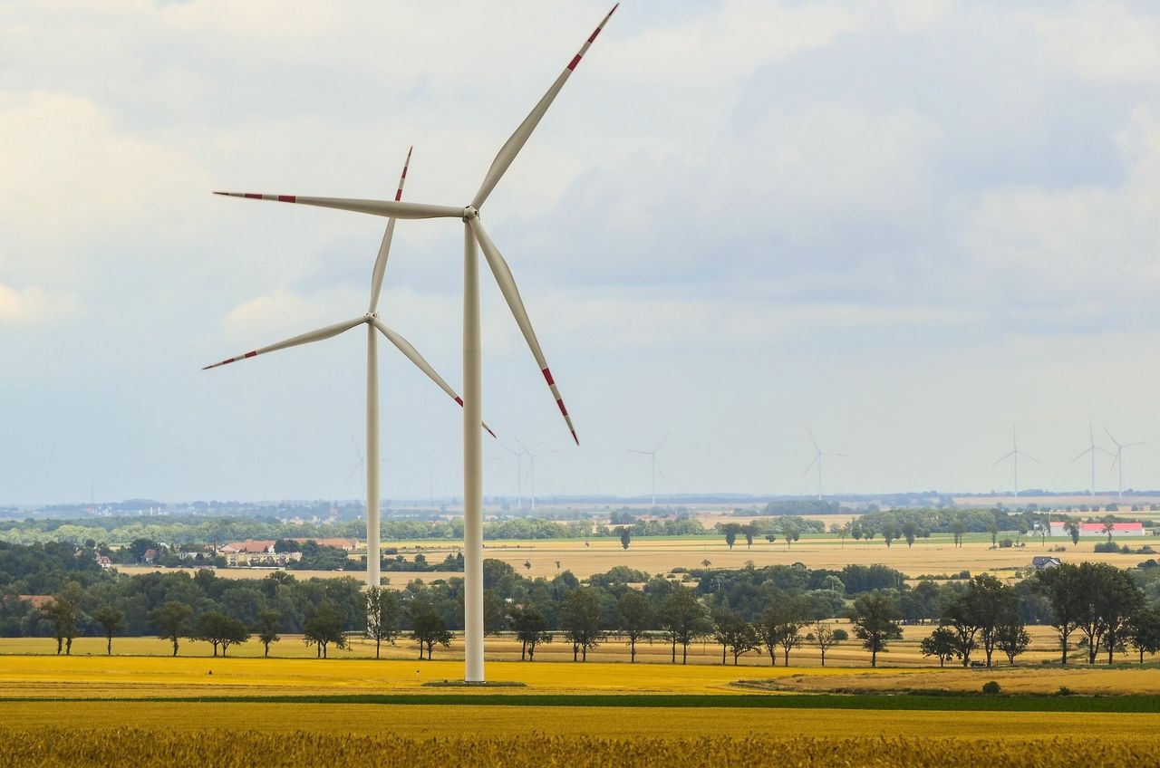 Energetyka wiatrowa się rozwija. W Europie powstają nowe farmy wiatrowe