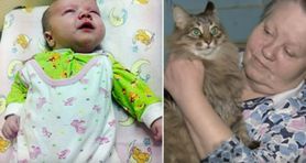 Kocica uratowała niemowlę pozostawione na mrozie