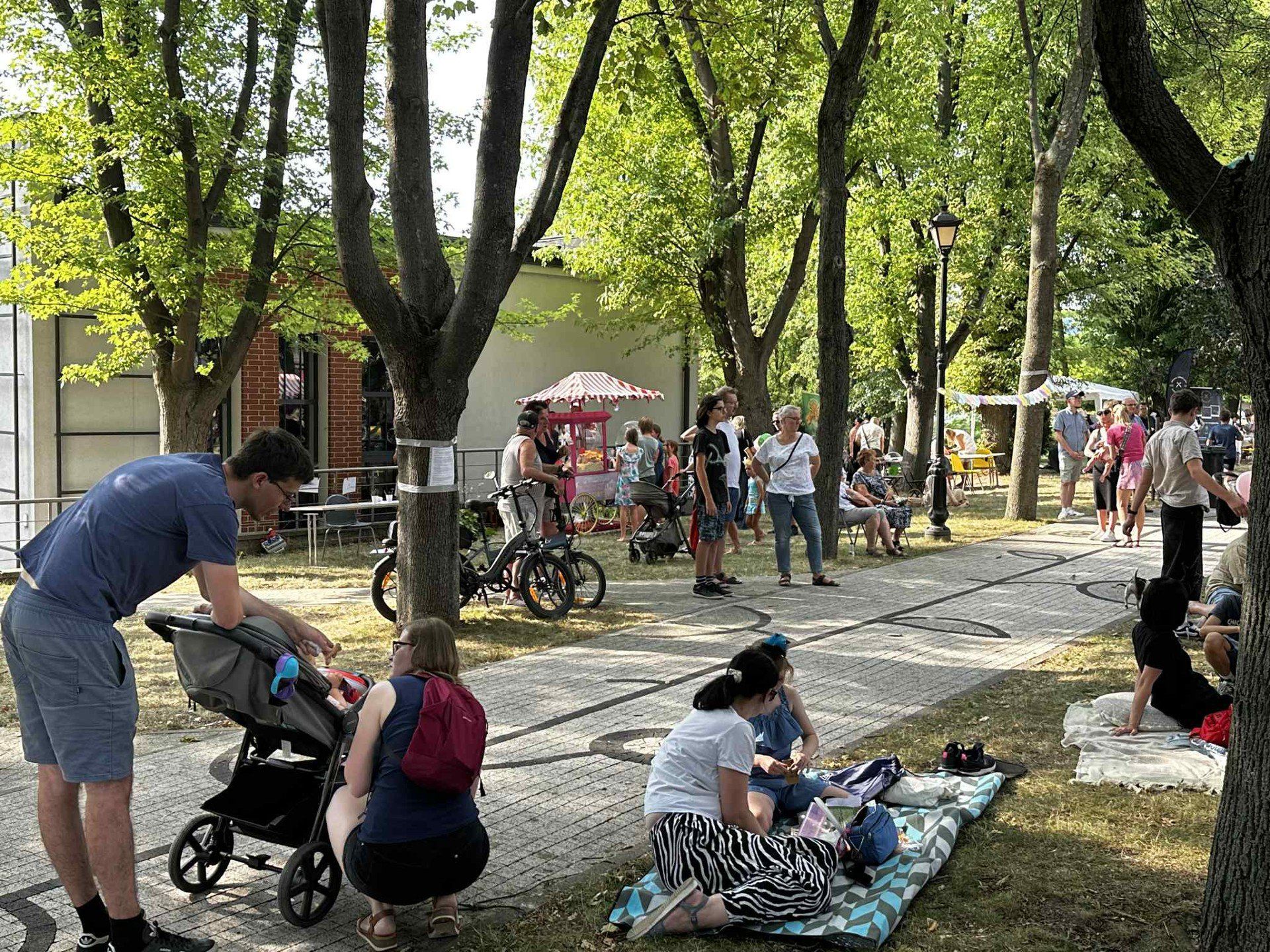 PIKNIK ŁSSE