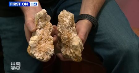 Sensacja w Australii. "Takie znalezisko zdarza się raz w życiu"
