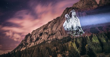 Zwierzęta, które płaczą na skalnych urwiskach - wspaniała seria Juliena Nonnona