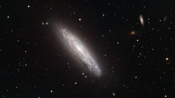 Wicher, którego nie da się opisać... 1