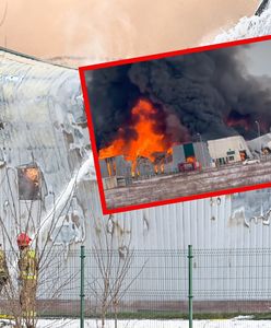 Pożar hali w Bydgoszczy. "Trwa dogaszanie"