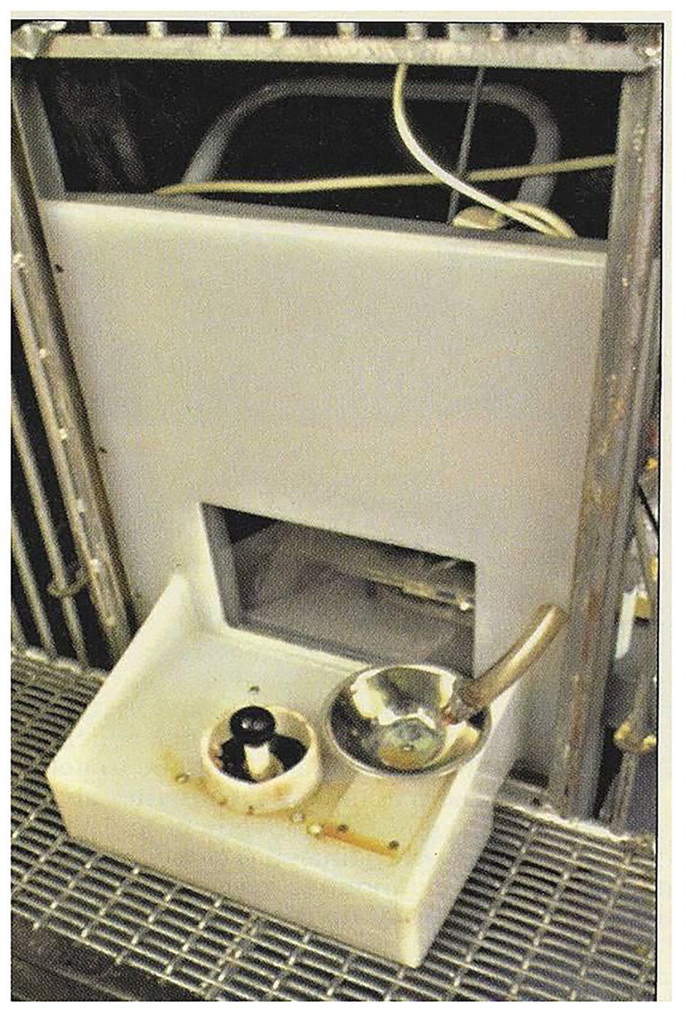 Joystick i automatyczny podajnik jedzenia dla świń w eksperymencie amerykańskich naukowców