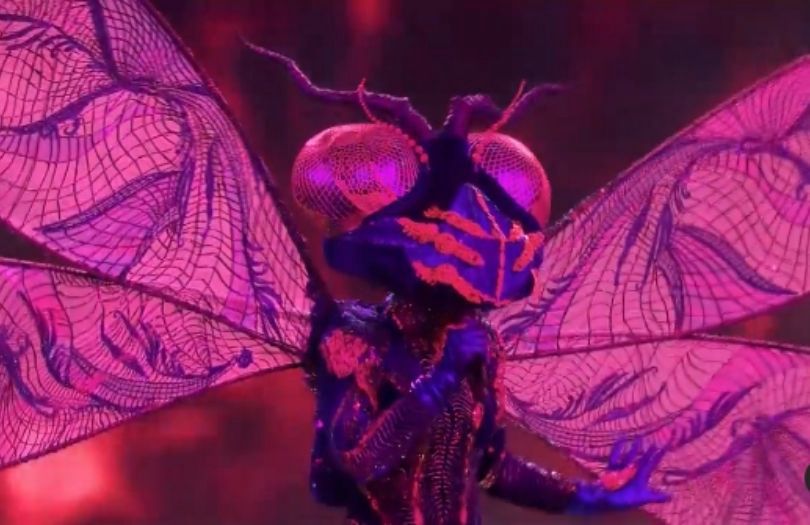 "Mask Singer". Widzowie obstawiają, kto kryje się w kostiumach Ważki, Deszczu, Bociana i Koguta