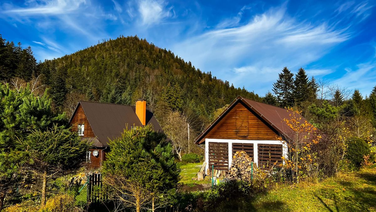 Leśnicy zauważyli zmianę na niebie i w powietrzu 