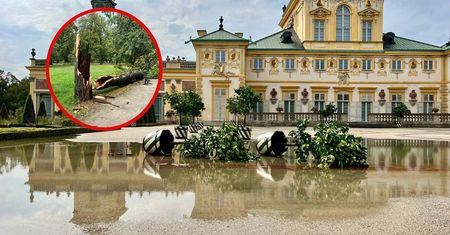 "Zamknięty do odwołania". Nawałnica w Warszawie, pokazali zniszczenia