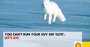 Greenpeace zorganizował Shellowi kampanię reklamową. Zobaczcie jaką