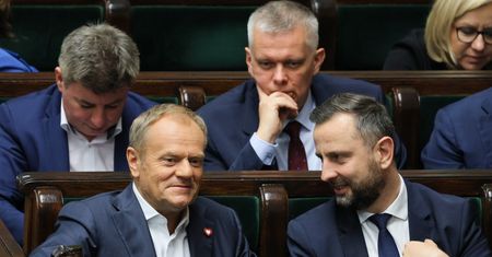 Dlaczego Tusk nie dyscyplinuje PSL-u? "Próbuje wykorzystać sytuację"