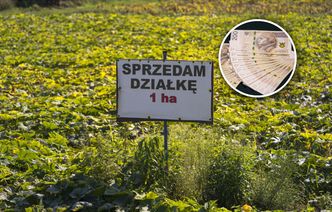 7 hektarów nad morzem. Skazany gangster próbuje przejąć wielki majątek