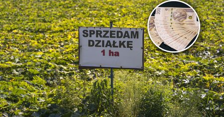 7 hektarów nad morzem. Skazany gangster próbuje przejąć wielki majątek