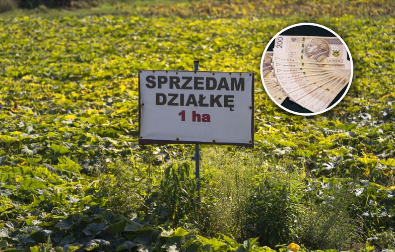 7 hektarów nad morzem. Skazany gangster próbuje przejąć wielki majątek