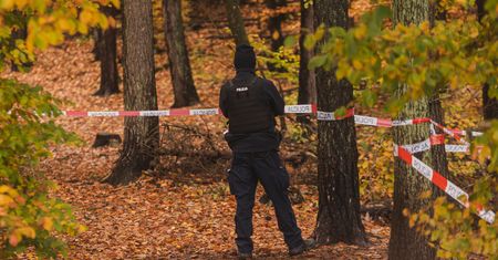 Po trzech godzinach tortur powiedział, gdzie jest walizka. Rusza proces