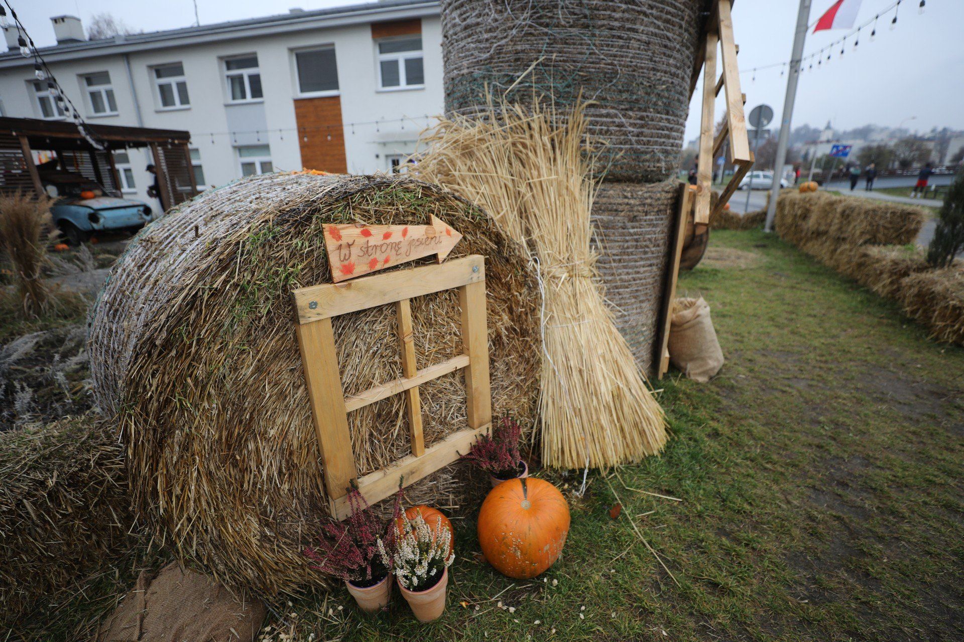 Dyniowa Przystań w Będzinie, a raczej to co z niej zostało. Tak prezentuje się teraz sezonowa atrakcja Zagłębia. Zobaczcie zdjęcia