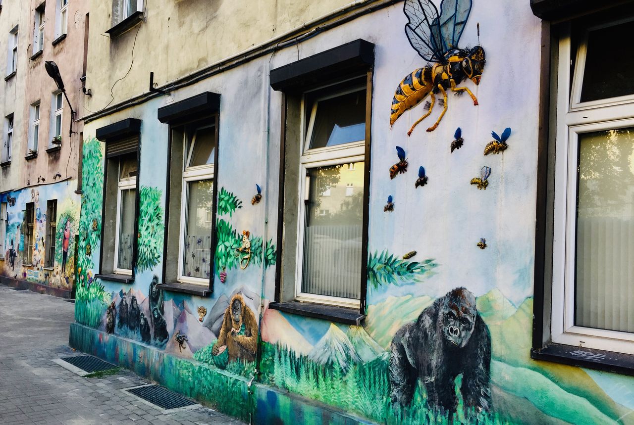 Mural z podwórka przy Roosevelta na wrocławskim Nadodrzu.