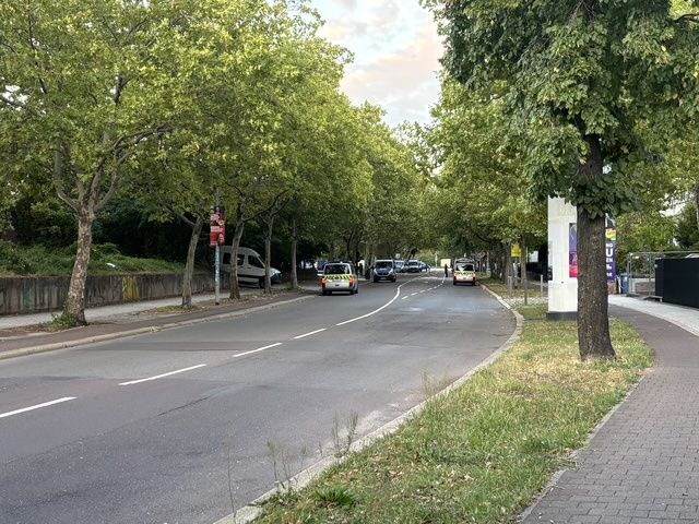 "Twierdza" Magedburg. Duże siły policji przed wiecem AfD