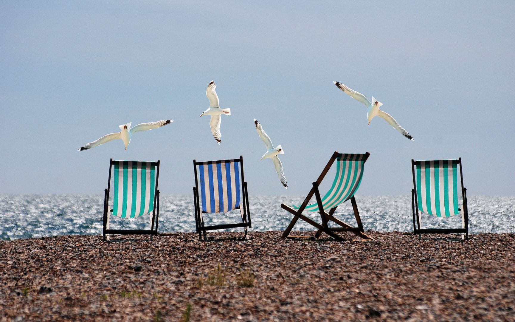 Wakacje 2020. Uporczywi plażowicze nad morzem. "Ja ci k... dam oczy zielone!"