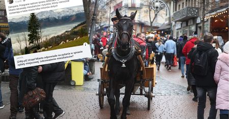 Za to wciąż zapłacimy w stolicy Tatr. "To lekceważenie turystów"