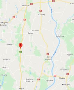 Wypadek na A1. Ranni po zderzeniu dwóch samochodów z łosiem