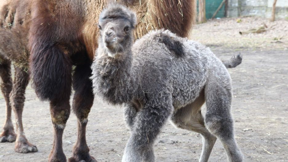 Warszawskie ZOO-Facebook