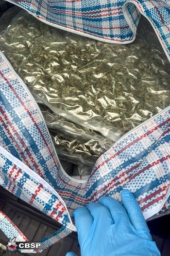 Warmia i Mazury: CBŚP i Żandarmeria Wojskowa rozbiły gang narkotykowy