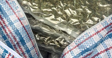CBŚP i Żandarmeria Wojskowa rozbiły gang narkotykowy. Zatrzymano jednego z liderów i zabezpieczono narkotyki warte 5 mln zł