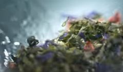 MullenLowe Warsaw po wygranym przetargu przygotowała kolejną reklamę Herbapolu