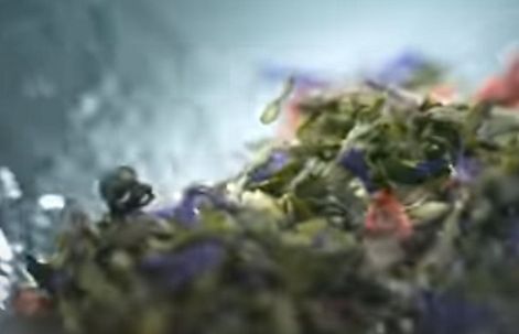 MullenLowe Warsaw po wygranym przetargu przygotowała kolejną reklamę Herbapolu