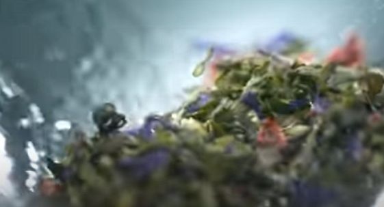 MullenLowe Warsaw po wygranym przetargu przygotowała kolejną reklamę Herbapolu