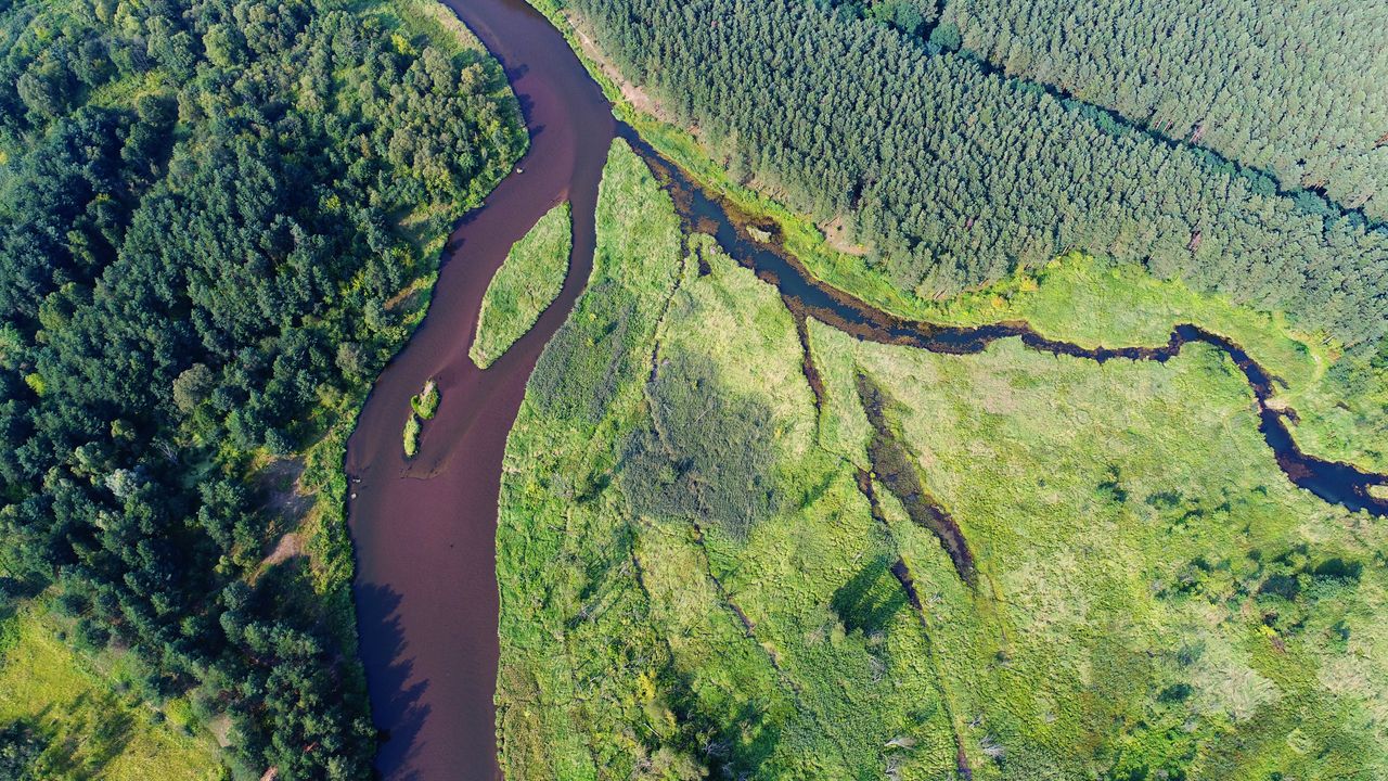 Biebrzański Park Narodowy zachwyca wspaniałą przyrodą