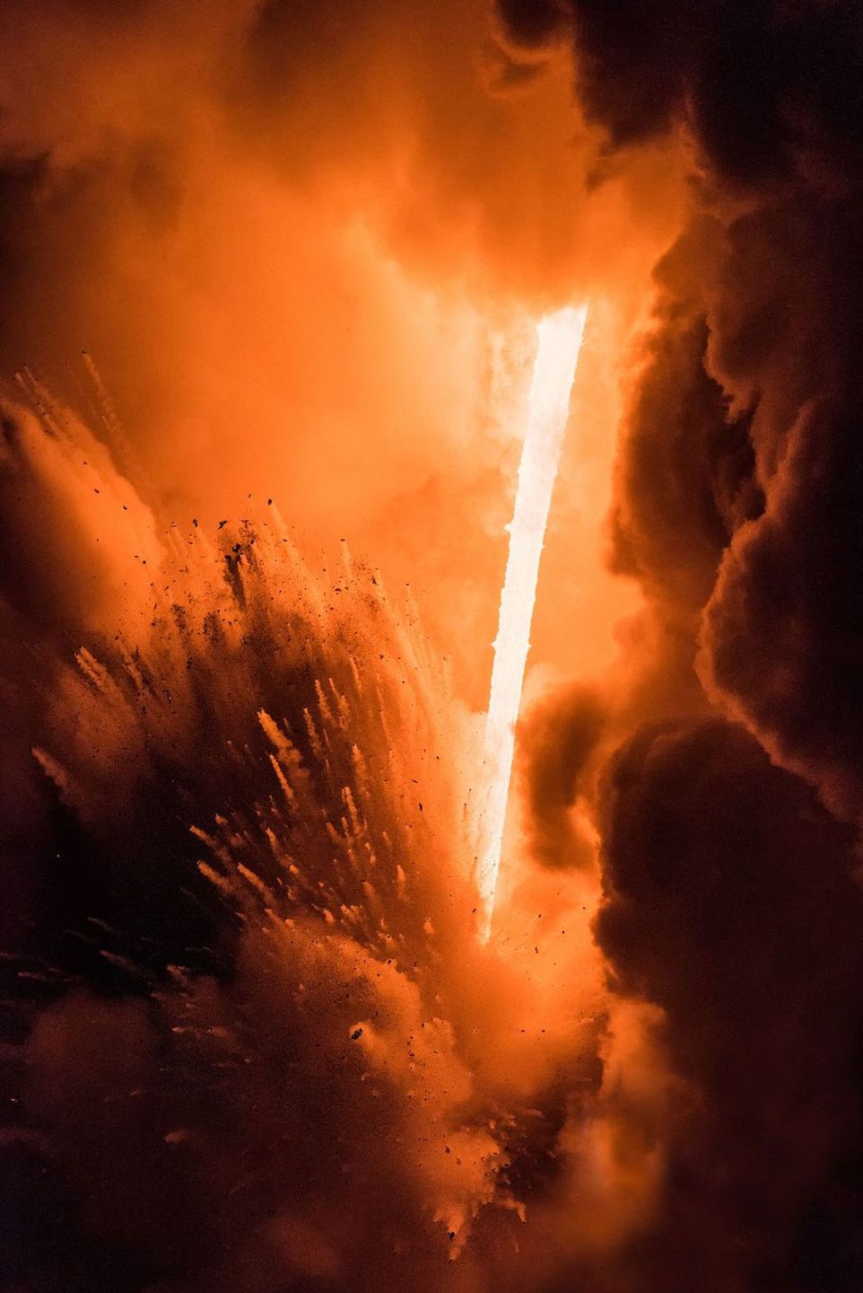 Adam Żądło w finale Smithsonian Photo Contest 2017 22