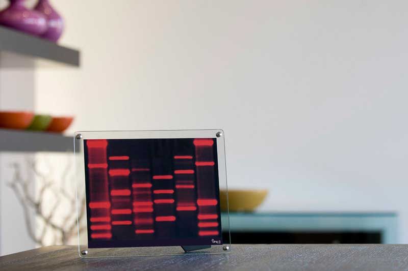 DNA Mini, portret bardzo osobisty 10