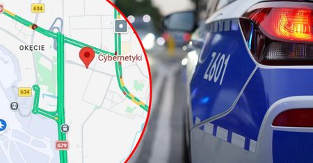 Czarna seria w Warszawie. Kolizje z udziałem dzikiej zwierzyny