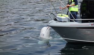 Słynny "szpieg Putina" nie żyje. Wyłowili jego ciało