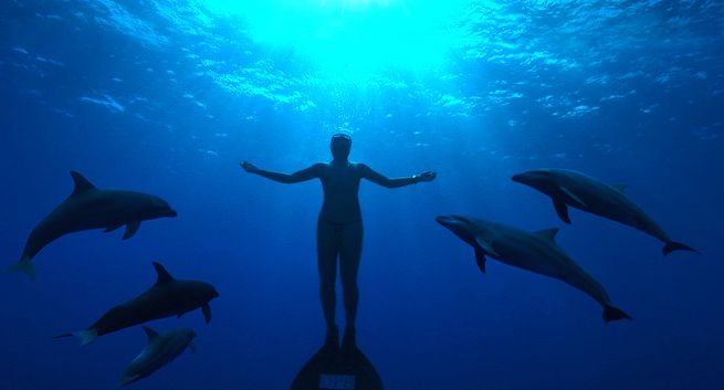 „Sprawa O.J. Simpsona”, „Cały ten cukier” i „Zatoka Delfinów” w TVN7 (wideo)