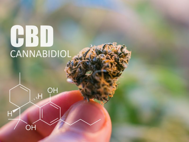 marihuana medyczna cbd