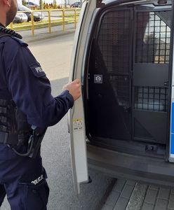 To nie był skok stulecia. Gdańsk ma najgorszego złodzieja w kraju