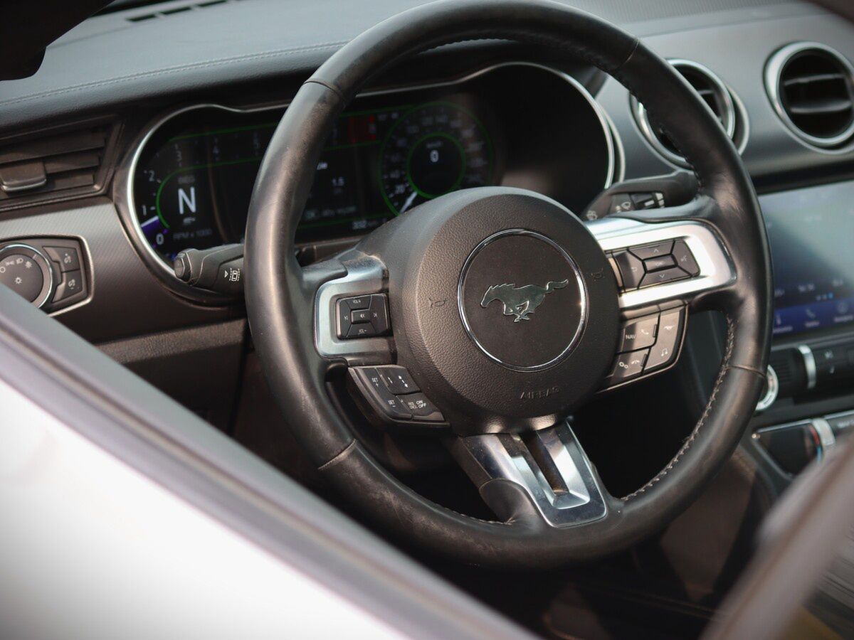 Mustang