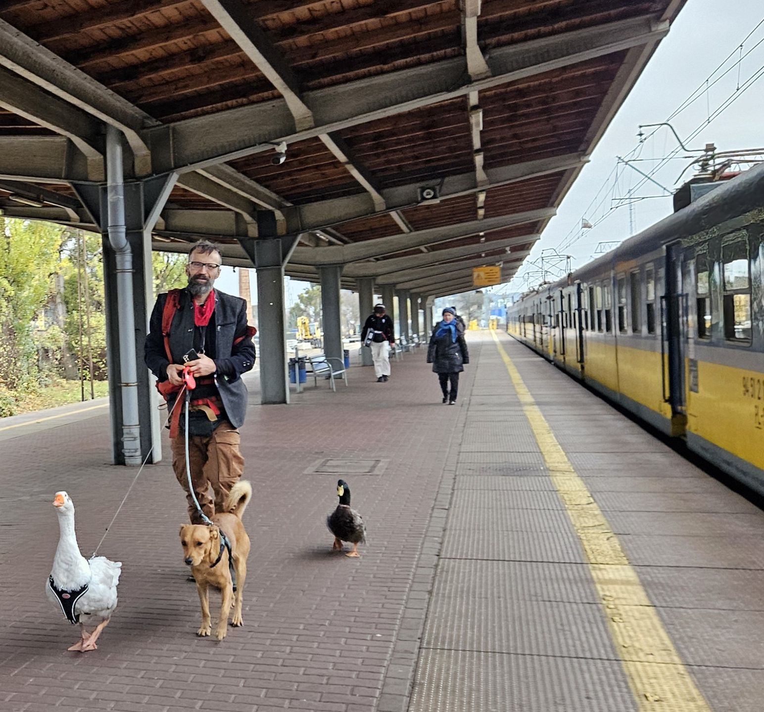 Podróżowanie stało się ich sposobem życia